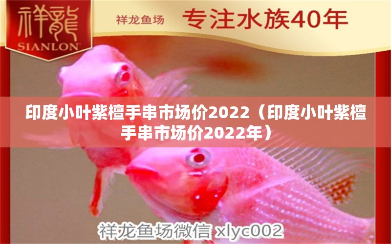 印度小葉紫檀手串市場價(jià)2022（印度小葉紫檀手串市場價(jià)2022年）