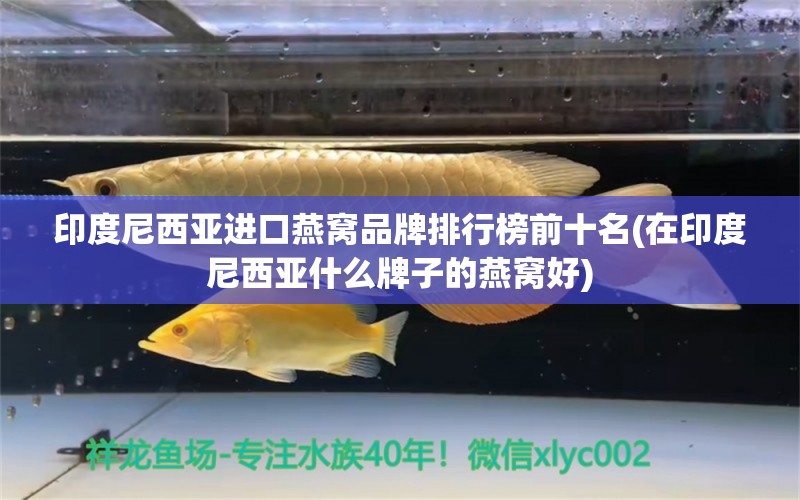 印度尼西亞進(jìn)口燕窩品牌排行榜前十名(在印度尼西亞什么牌子的燕窩好) 馬來西亞燕窩 第1張