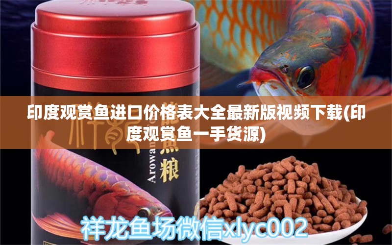 印度觀賞魚進口價格表大全最新版視頻下載(印度觀賞魚一手貨源) 觀賞魚進出口 第1張