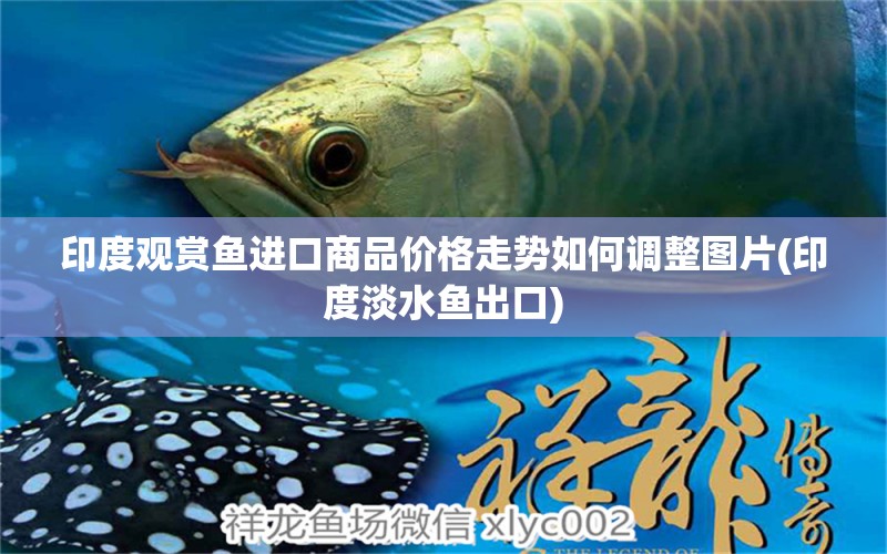 印度觀賞魚進(jìn)口商品價(jià)格走勢如何調(diào)整圖片(印度淡水魚出口) 觀賞魚進(jìn)出口 第1張