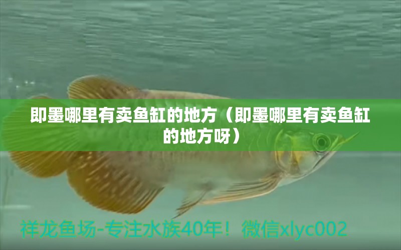 即墨哪里有賣魚缸的地方（即墨哪里有賣魚缸的地方呀）