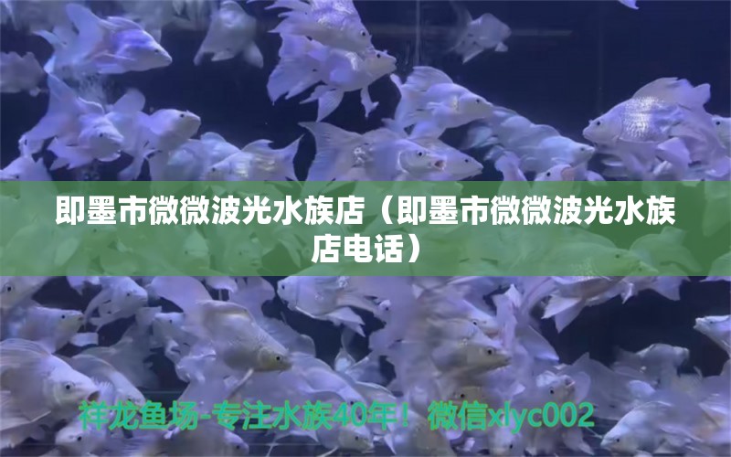 即墨市微微波光水族店（即墨市微微波光水族店電話）