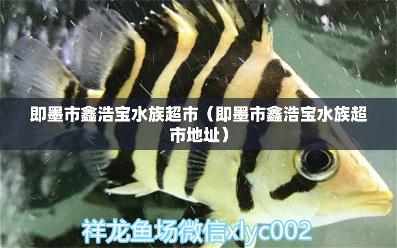 即墨市鑫浩寶水族超市（即墨市鑫浩寶水族超市地址）