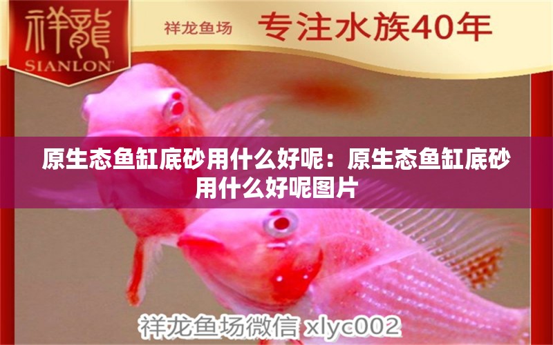 原生態(tài)魚缸底砂用什么好呢：原生態(tài)魚缸底砂用什么好呢圖片