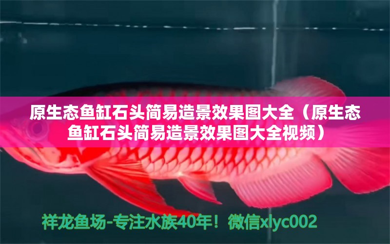 原生態(tài)魚缸石頭簡(jiǎn)易造景效果圖大全（原生態(tài)魚缸石頭簡(jiǎn)易造景效果圖大全視頻）