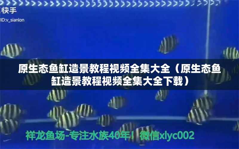 原生態(tài)魚缸造景教程視頻全集大全（原生態(tài)魚缸造景教程視頻全集大全下載）