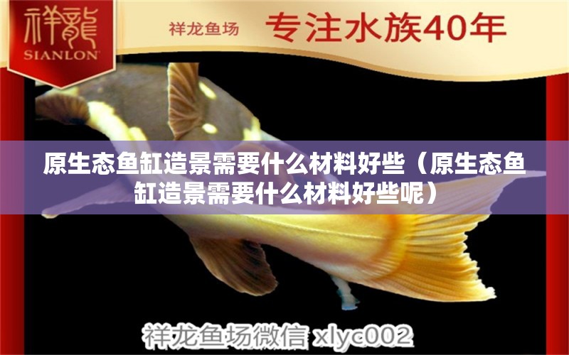 原生態(tài)魚缸造景需要什么材料好些（原生態(tài)魚缸造景需要什么材料好些呢）