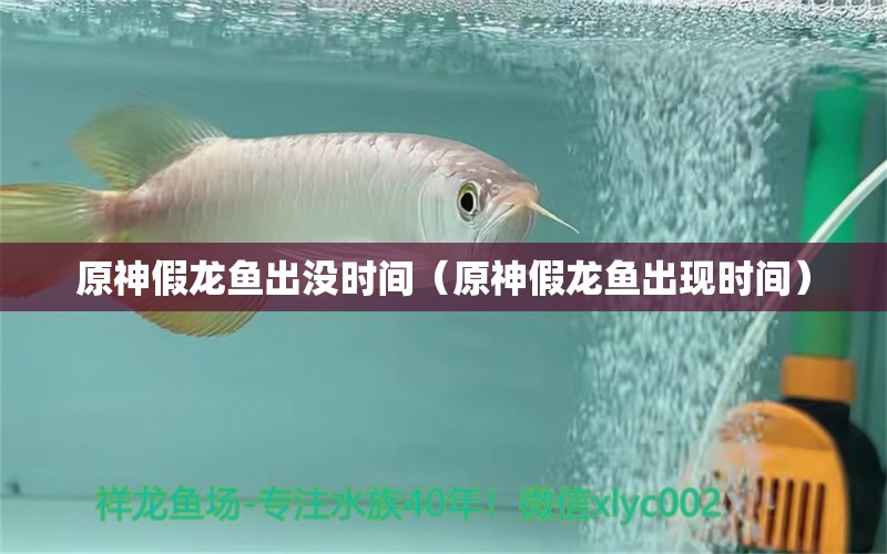 原神假龍魚出沒時(shí)間（原神假龍魚出現(xiàn)時(shí)間）