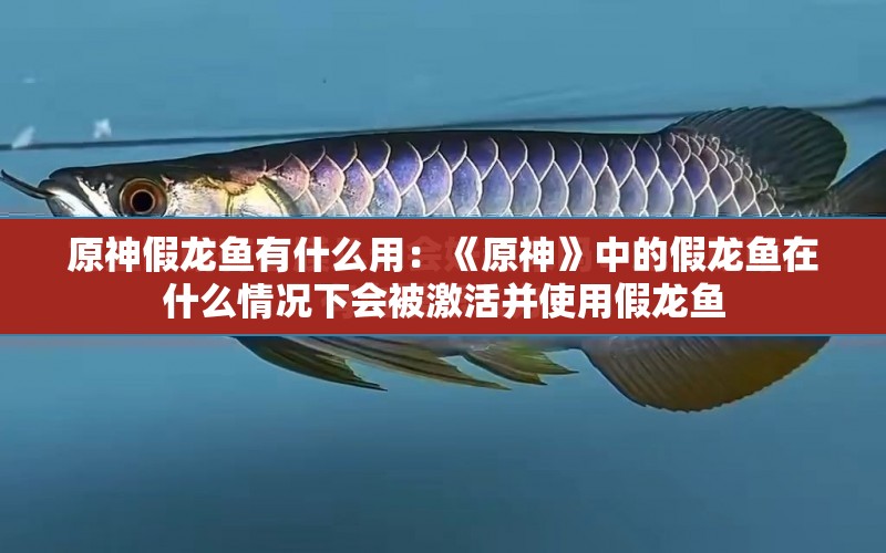 原神假龍魚有什么用：《原神》中的假龍魚在什么情況下會被激活并使用假龍魚 水族問答