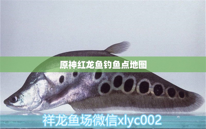 原神紅龍魚釣魚點地圖