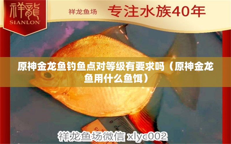 原神金龍魚釣魚點(diǎn)對等級有要求嗎（原神金龍魚用什么魚餌）