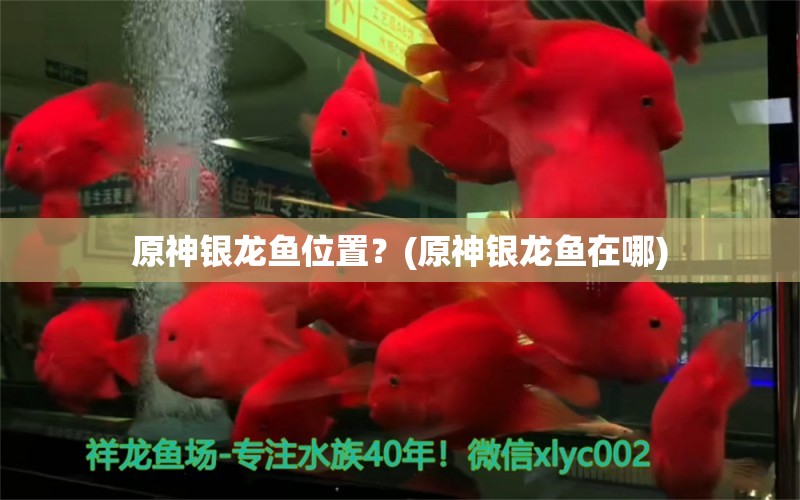 原神銀龍魚位置？(原神銀龍魚在哪)