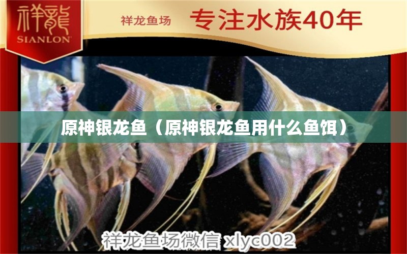 原神銀龍魚（原神銀龍魚用什么魚餌）