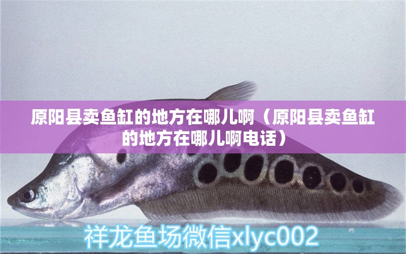 原陽(yáng)縣賣(mài)魚(yú)缸的地方在哪兒?。ㄔ?yáng)縣賣(mài)魚(yú)缸的地方在哪兒啊電話）