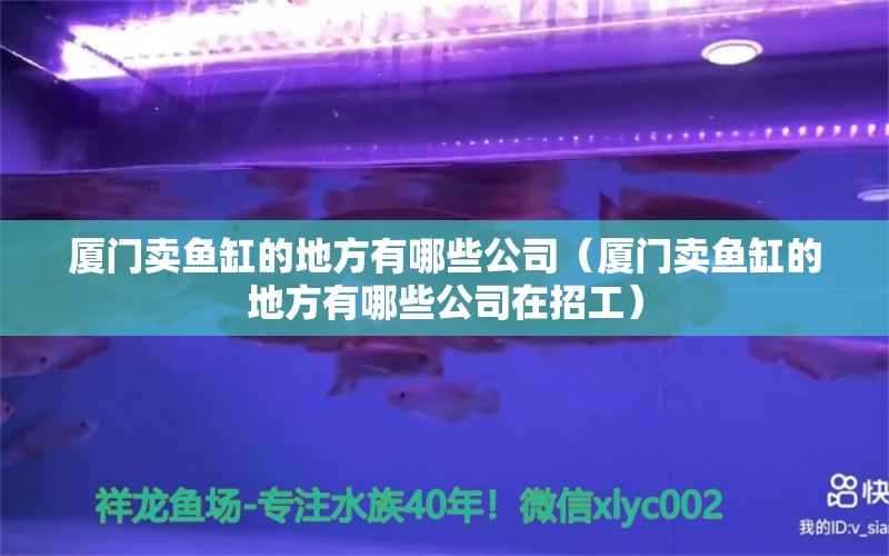 廈門賣魚缸的地方有哪些公司（廈門賣魚缸的地方有哪些公司在招工） 黃寬帶蝴蝶魚