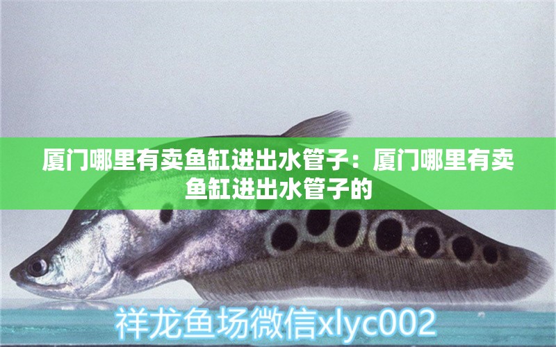 廈門哪里有賣魚缸進出水管子：廈門哪里有賣魚缸進出水管子的 觀賞魚市場（混養(yǎng)魚）