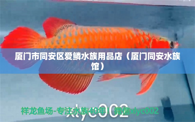 廈門市同安區(qū)愛鱗水族用品店（廈門同安水族館） 水族用品