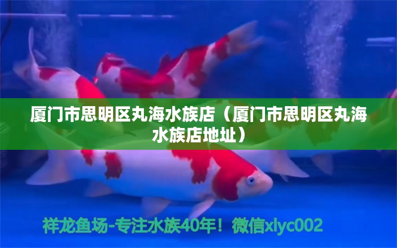 廈門市思明區(qū)丸海水族店（廈門市思明區(qū)丸海水族店地址）