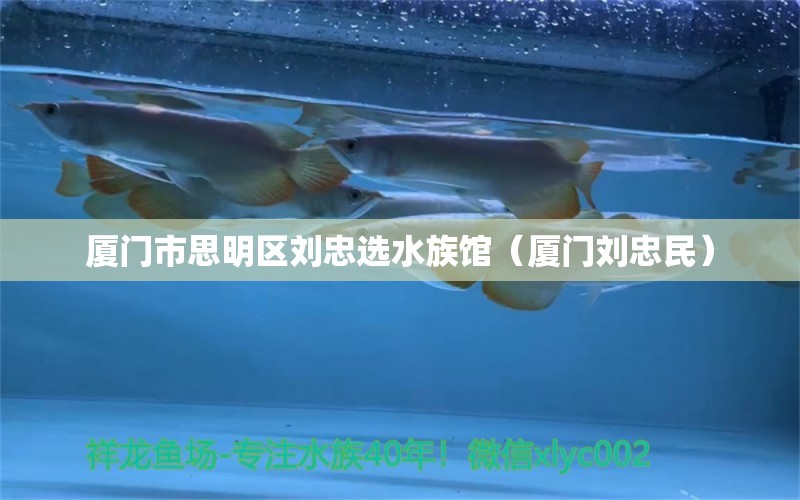 廈門市思明區(qū)劉忠選水族館（廈門劉忠民）