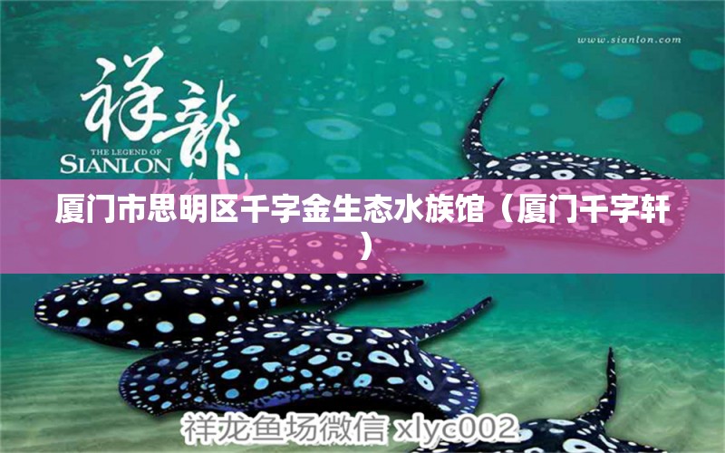 廈門市思明區(qū)千字金生態(tài)水族館（廈門千字軒） 全國水族館企業(yè)名錄