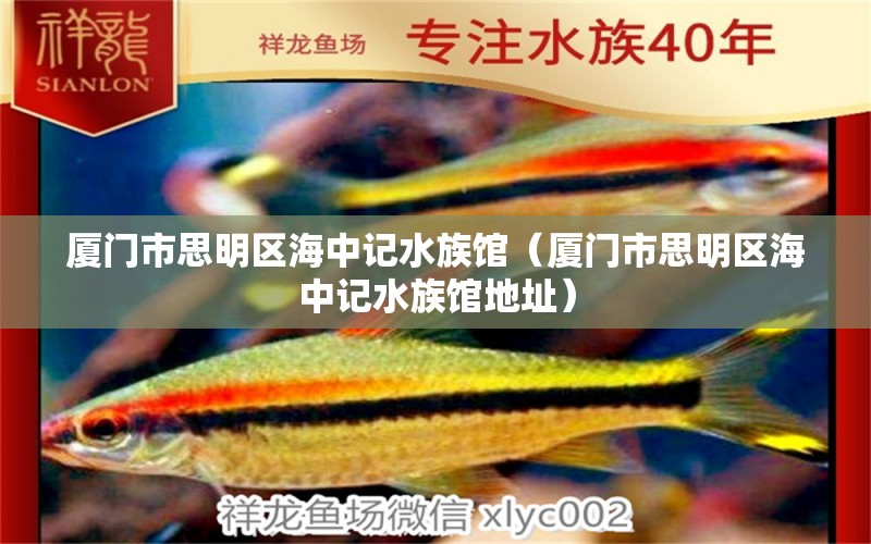 廈門市思明區(qū)海中記水族館（廈門市思明區(qū)海中記水族館地址） 全國水族館企業(yè)名錄