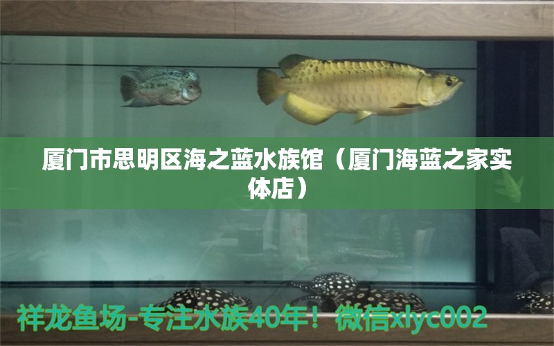 廈門市思明區(qū)海之藍(lán)水族館（廈門海藍(lán)之家實(shí)體店）