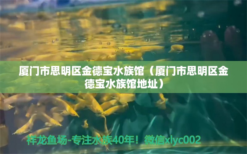 廈門市思明區(qū)金德寶水族館（廈門市思明區(qū)金德寶水族館地址）