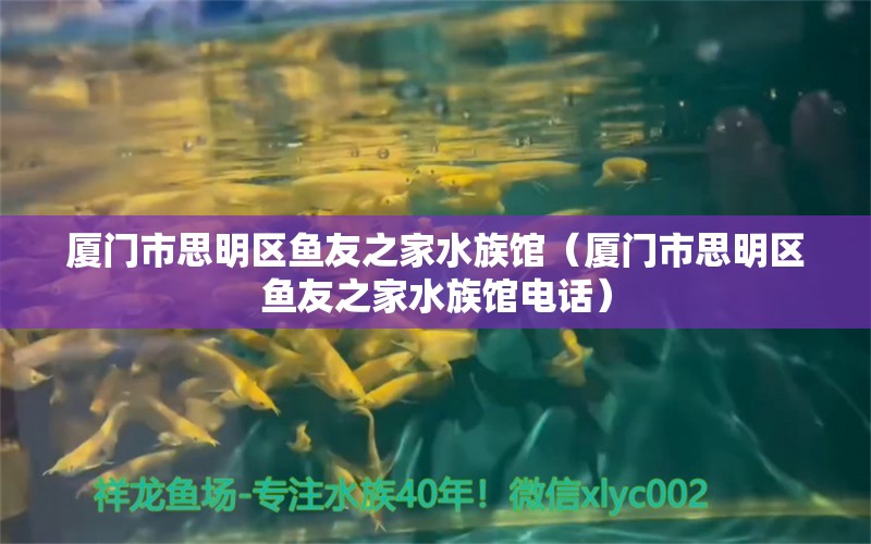 廈門(mén)市思明區(qū)魚(yú)友之家水族館（廈門(mén)市思明區(qū)魚(yú)友之家水族館電話(huà)） 全國(guó)水族館企業(yè)名錄