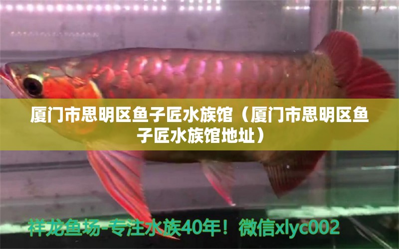 廈門市思明區(qū)魚子匠水族館（廈門市思明區(qū)魚子匠水族館地址）