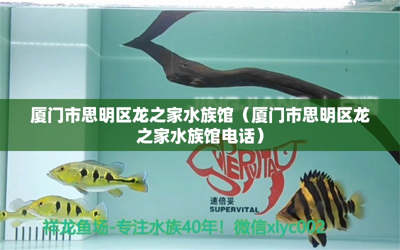 廈門市思明區(qū)龍之家水族館（廈門市思明區(qū)龍之家水族館電話） 全國水族館企業(yè)名錄