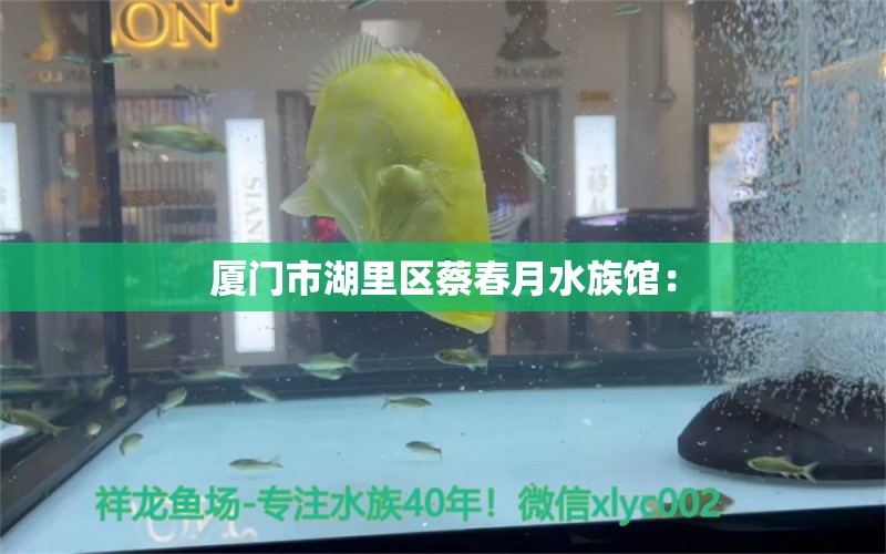 廈門市湖里區(qū)蔡春月水族館：