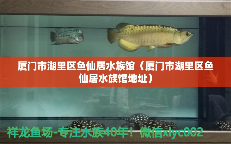 廈門市湖里區(qū)魚仙居水族館（廈門市湖里區(qū)魚仙居水族館地址）