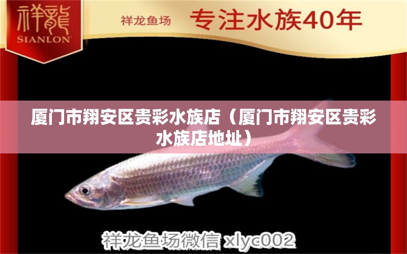 廈門(mén)市翔安區(qū)貴彩水族店（廈門(mén)市翔安區(qū)貴彩水族店地址）