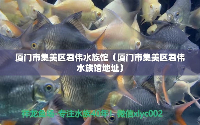 廈門市集美區(qū)君偉水族館（廈門市集美區(qū)君偉水族館地址） 全國水族館企業(yè)名錄