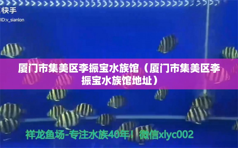 廈門市集美區(qū)李振寶水族館（廈門市集美區(qū)李振寶水族館地址） 全國水族館企業(yè)名錄