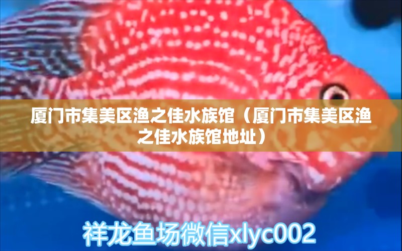 廈門市集美區(qū)漁之佳水族館（廈門市集美區(qū)漁之佳水族館地址）