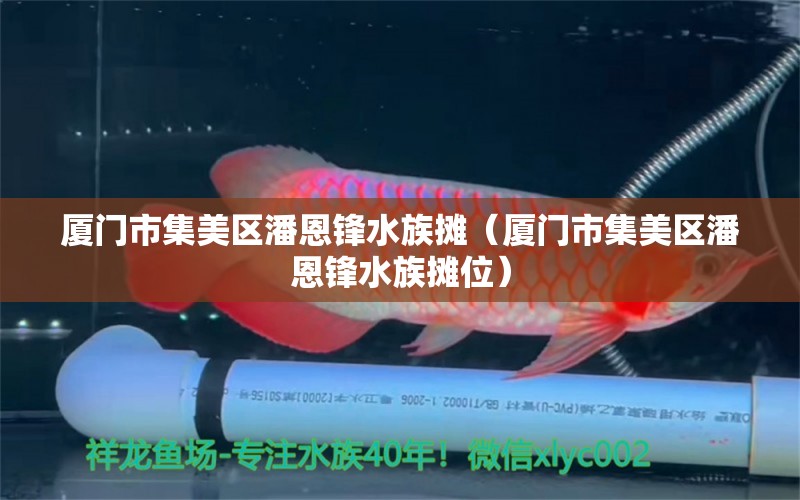 廈門市集美區(qū)潘恩鋒水族攤（廈門市集美區(qū)潘恩鋒水族攤位）