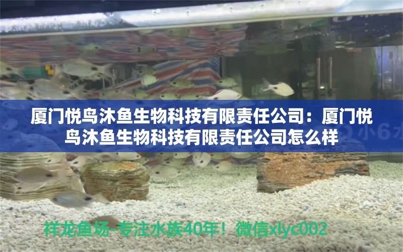 廈門悅鳥沐魚生物科技有限責(zé)任公司：廈門悅鳥沐魚生物科技有限責(zé)任公司怎么樣 全國水族館企業(yè)名錄