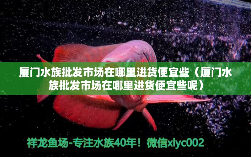 廈門水族批發(fā)市場在哪里進(jìn)貨便宜些（廈門水族批發(fā)市場在哪里進(jìn)貨便宜些呢）