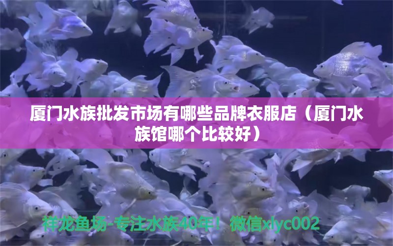 廈門水族批發(fā)市場(chǎng)有哪些品牌衣服店（廈門水族館哪個(gè)比較好）