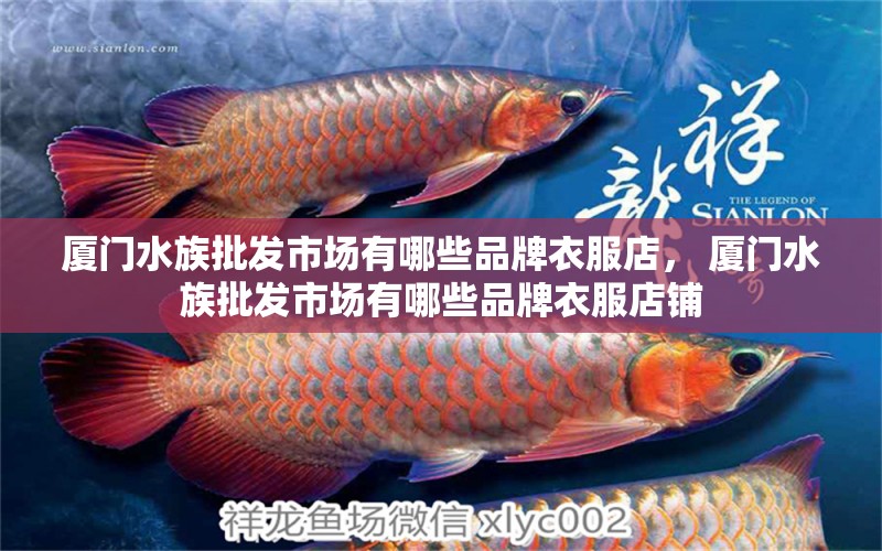 廈門水族批發(fā)市場有哪些品牌衣服店， 廈門水族批發(fā)市場有哪些品牌衣服店鋪 PH調(diào)節(jié)劑