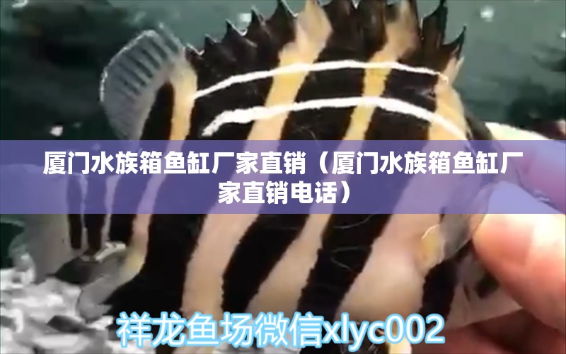 廈門水族箱魚缸廠家直銷（廈門水族箱魚缸廠家直銷電話）