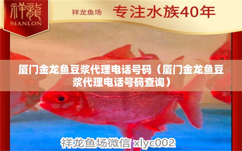 廈門金龍魚豆?jié){代理電話號碼（廈門金龍魚豆?jié){代理電話號碼查詢）