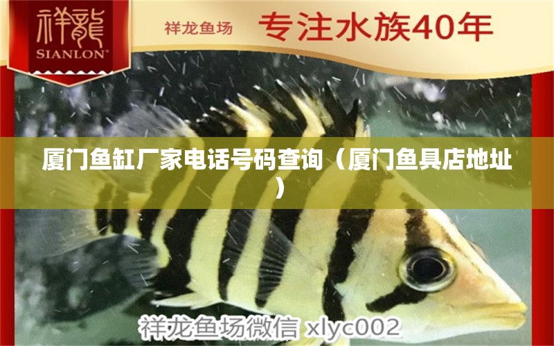 廈門魚缸廠家電話號碼查詢（廈門魚具店地址）