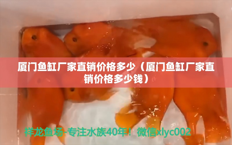 廈門魚缸廠家直銷價格多少（廈門魚缸廠家直銷價格多少錢）