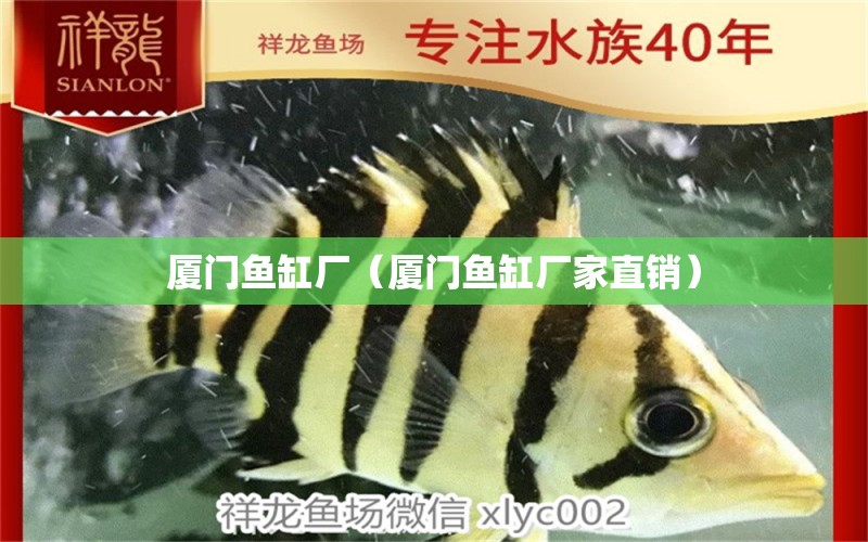 廈門魚缸廠（廈門魚缸廠家直銷） 其他品牌魚缸