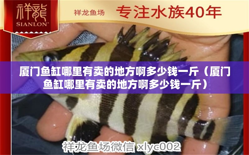 廈門魚缸哪里有賣的地方啊多少錢一斤（廈門魚缸哪里有賣的地方啊多少錢一斤）