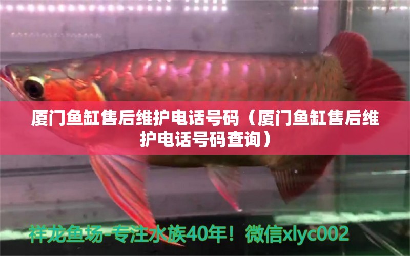 廈門魚缸售后維護(hù)電話號碼（廈門魚缸售后維護(hù)電話號碼查詢）