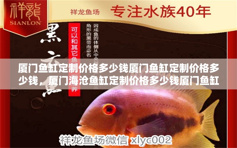 廈門魚缸定制價格多少錢廈門魚缸定制價格多少錢，廈門海滄魚缸定制價格多少錢廈門魚缸定制價格多少錢 森森魚缸 第1張