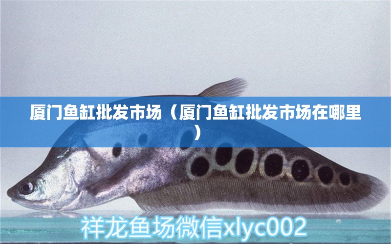 廈門魚缸批發(fā)市場（廈門魚缸批發(fā)市場在哪里）